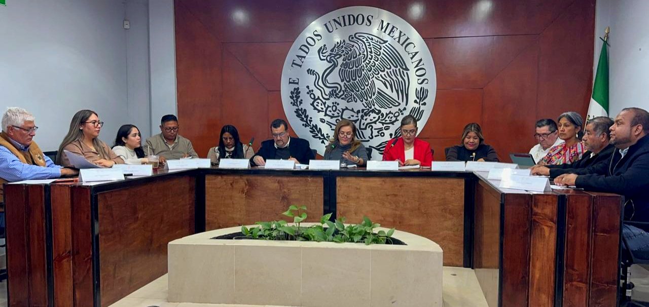 Cabildo San Quintín 