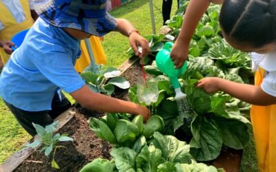 Promueve Secretaría de Educación huertos en pre escolares de Ensenada