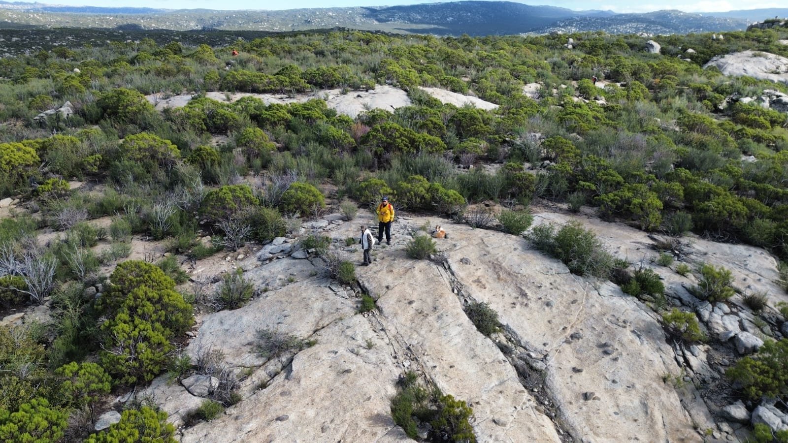 Operativ9o búsqueda Sierra Juárez 