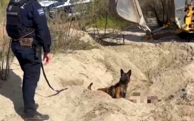 Localizó K9 de la Policía Municipal restos humanos en Zarco