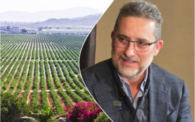 Ensenada y sus Valles 365 marca ruta del sector turístico: Andrés Martínez Bremer