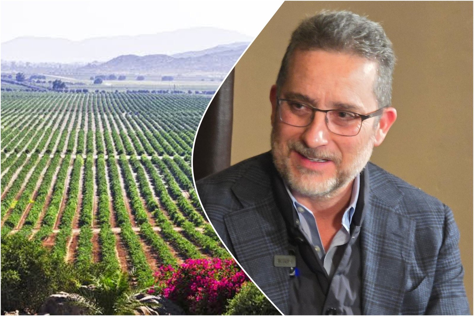 Andrés Martínez Bremer 