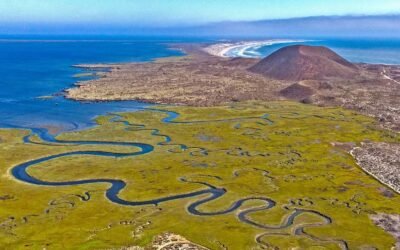Acuerdan estrategia para reforzar conservación de humedales en Baja California