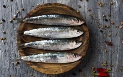 Refuerza Gobierno Estatal apoyo a pescadores de sardina