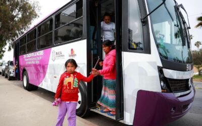 Garantiza transporte violeta servicio nocturno en Ensenada