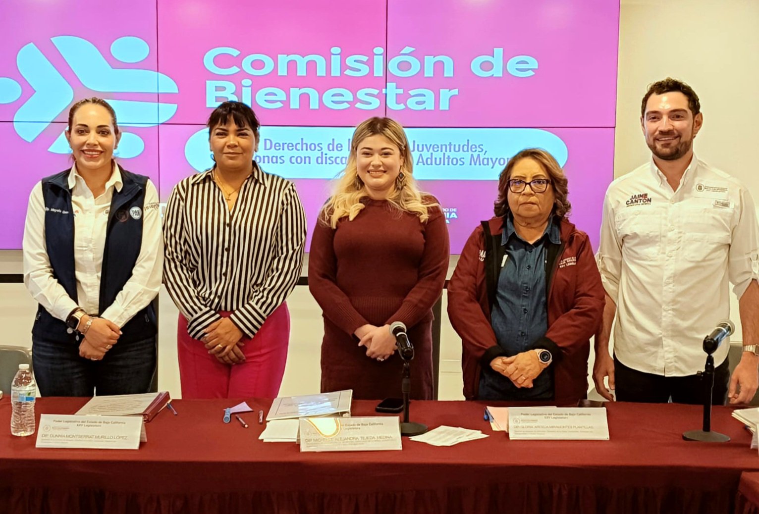 Diputada Michelle Tejeda