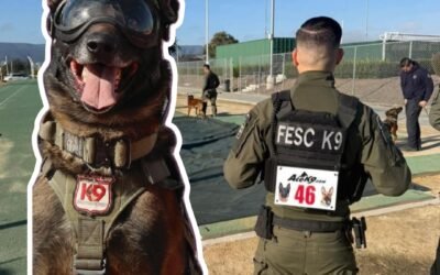 Destaca Unidad K9 de la Fuerza Estatal en competencia de California
