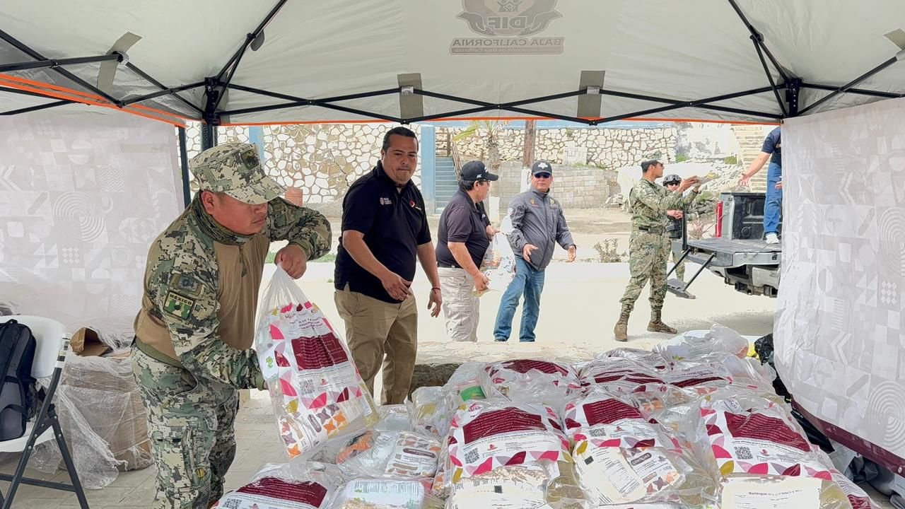 atención en Isla de Cedros