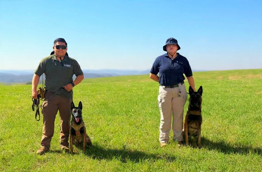 Comisión Local Búsqueda 