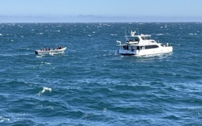 Rescató SEMAR a cuatro extranjeros de yate a la deriva cerca de Punta Canoas