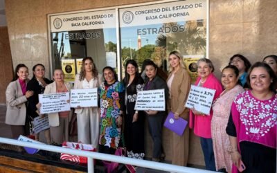 Avanza iniciativa ciudadana para tipificar la cohabitación forzada en BC