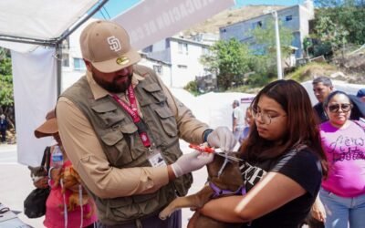 Intensifican combate a la Rickettsia en Ensenada