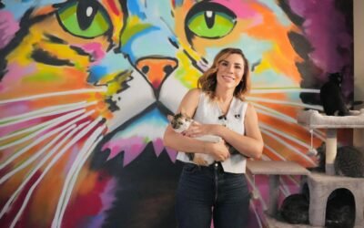 Celebra Marina del Pilar 2 años de Santuario Mily; Ejemplo nacional de protección a mascotas