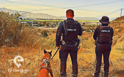 Localiza Unidad de Búsqueda de Personas, cadáver en San Carlos