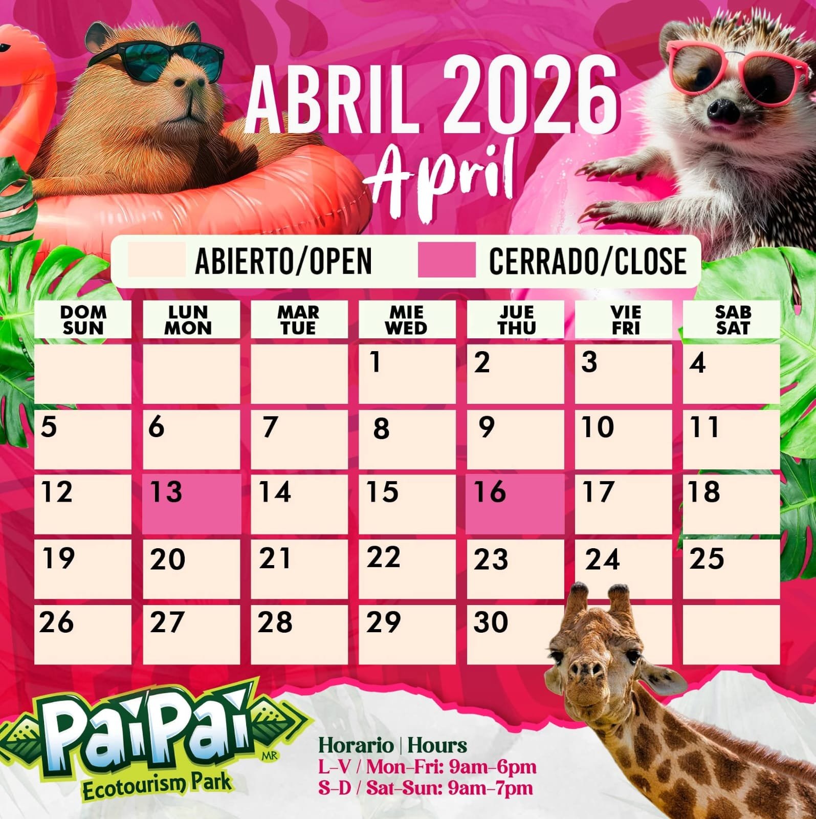 Pai Pai Abril