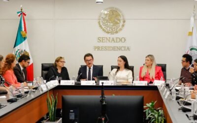 Llama senadora Julieta Ramírez a diputados de BC a aterrizar Plan B de austeridad de Sheinbaum