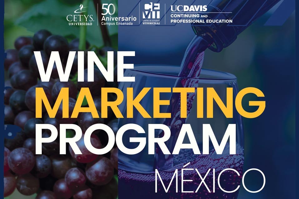 Wine Marketing Program