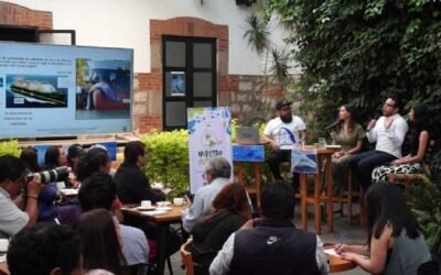 Otorga jueza protección a ballenas; Impide a buques tránsito de gas natural por Golfo de California