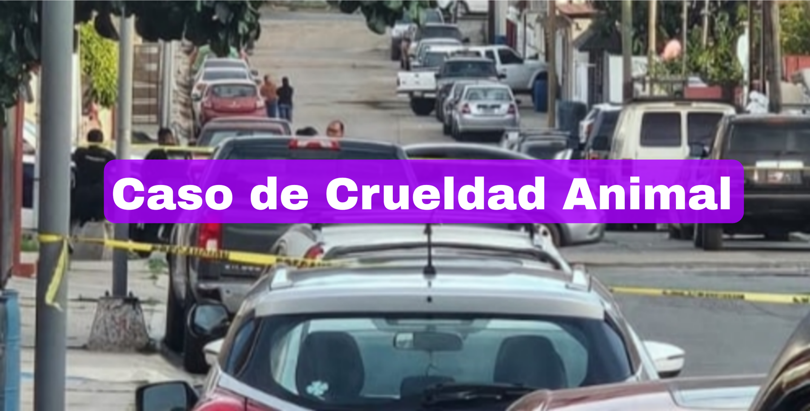 Crueldad Animal