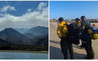 Consume incendio forestal zona de Área Natural Protegida en Isla de Cedros