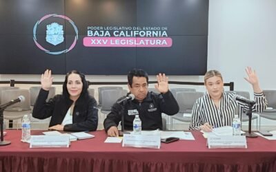 Avanza en Comisión exhorto para coordinar medidas contra plaga de gusano barrenador