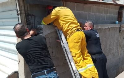 Rescata Policía Ecológica a gato atrapado entre muros