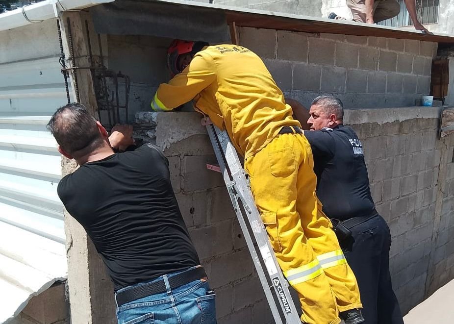 Rescate Policía Ecológica