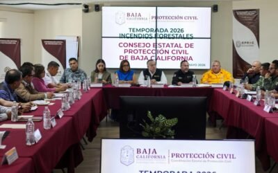 Blindan bosques y comunidades de BC Vs incendios forestales; Ratifican declaratoria de emergencia