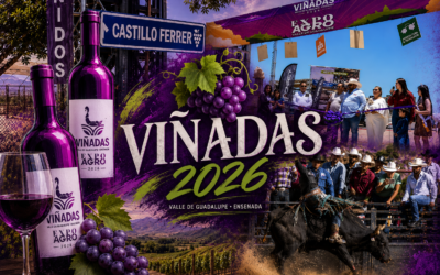Reúnen «Viñadas» a miles de visitantes en Valle de Guadalupe