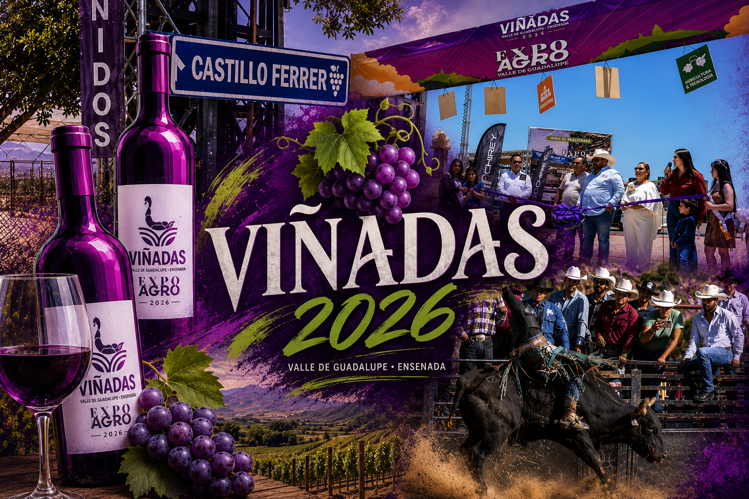 Viñadas 2026