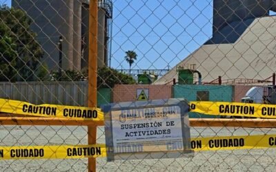 Suspendió Procuraduría Ambiental  de BC actividades de Ecoterra