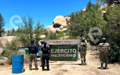 Desmantela SEDENA narcolaboratorio en sierra de Ensenada