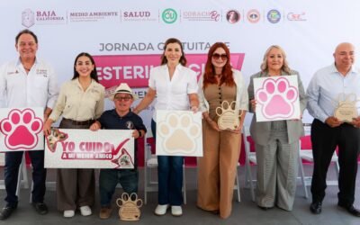 Refuerza Marina del Pilar acciones de bienestar animal y salud pública