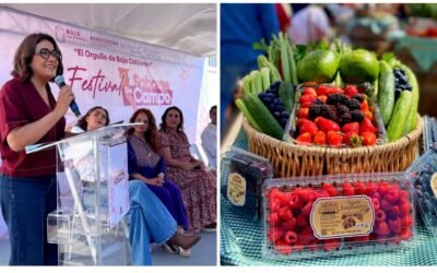 Consolida SADER BC  ¨Sabores del Campo¨; Encuentro productores-empresarios-consumidores