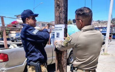Realiza Fiscalía operativos de búsqueda de personas en Ensenada