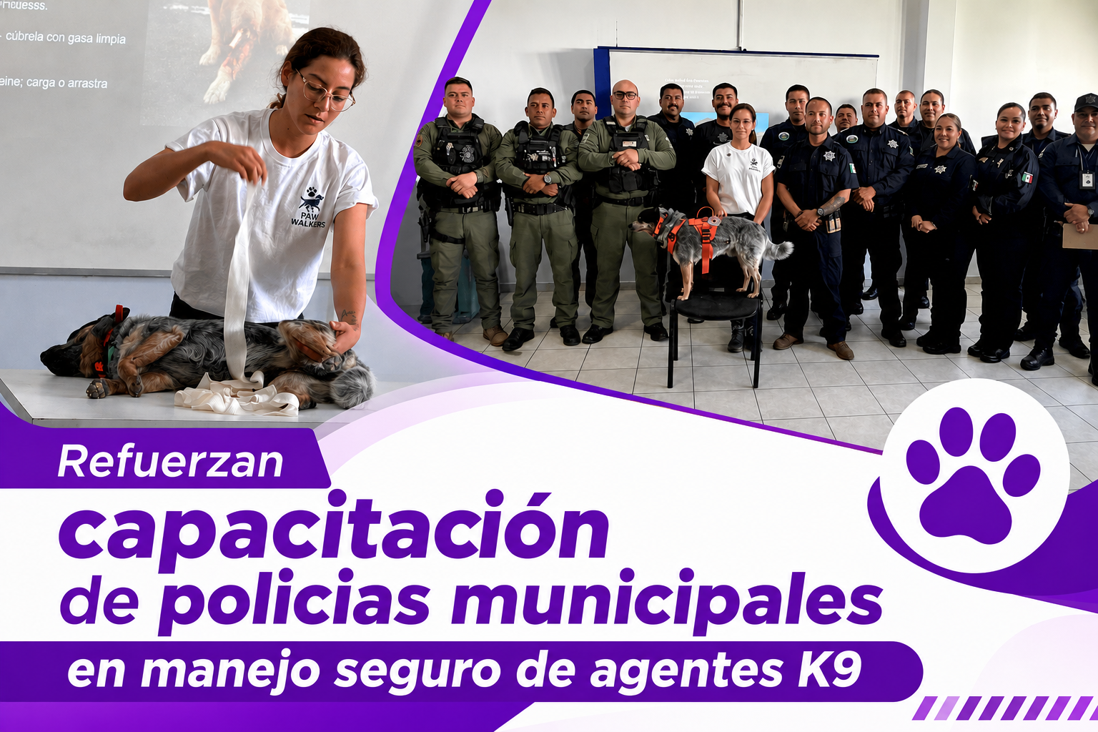 Capacitación policías municipales en atención a K9