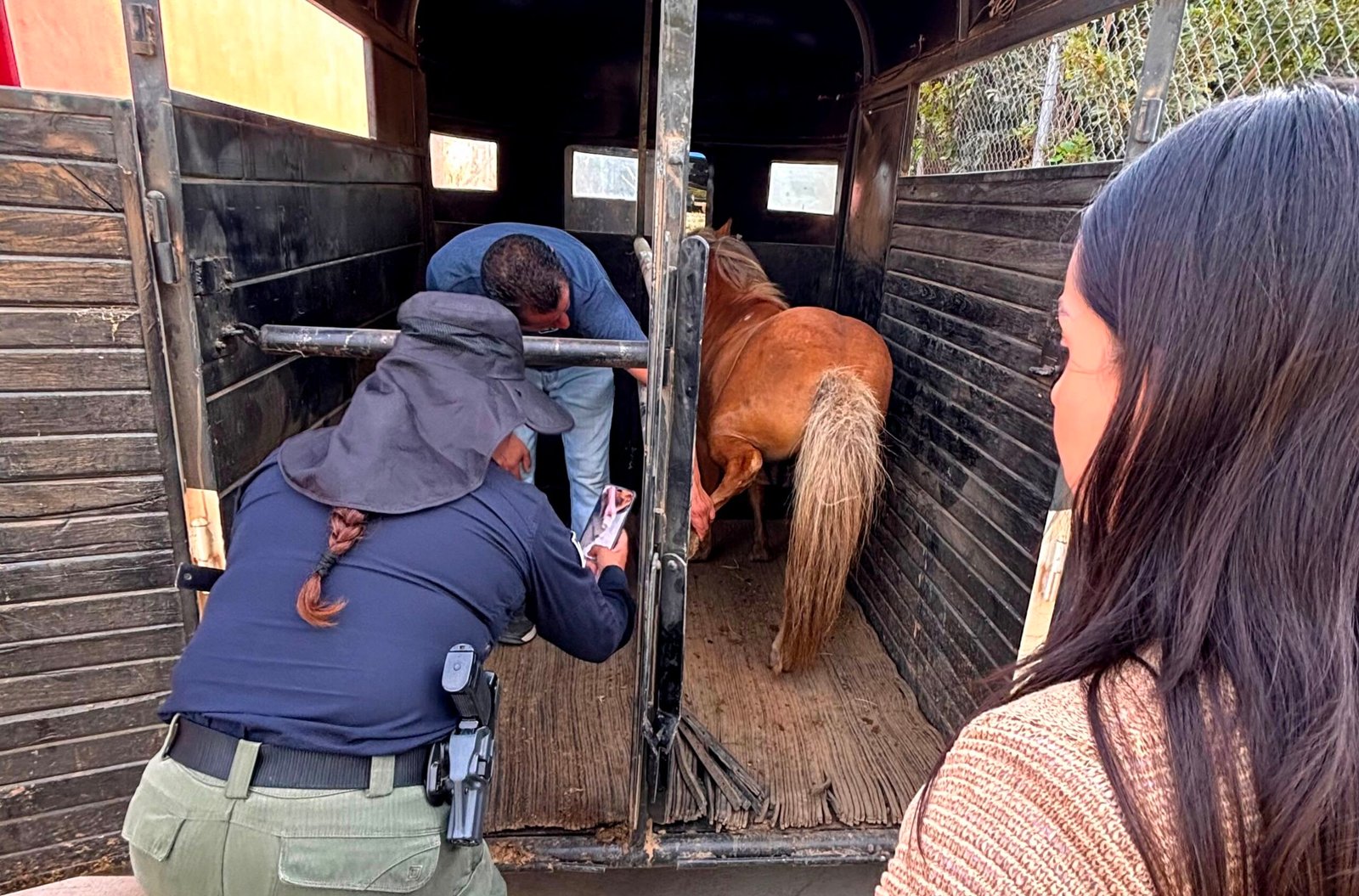 Brinda SMADS protección a Pony 