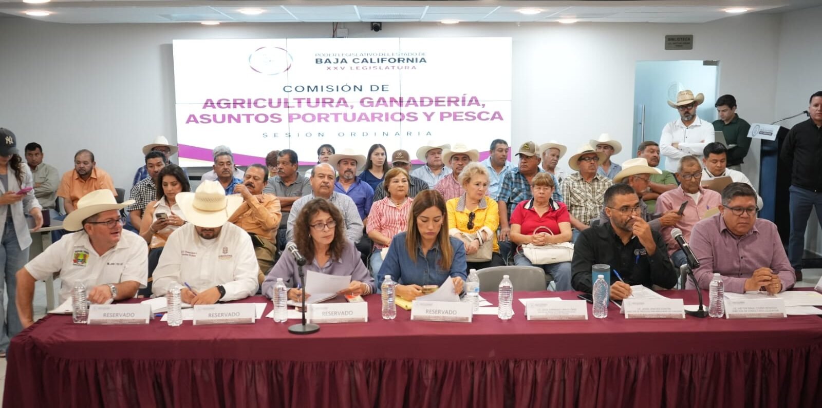 Comisión Cultura