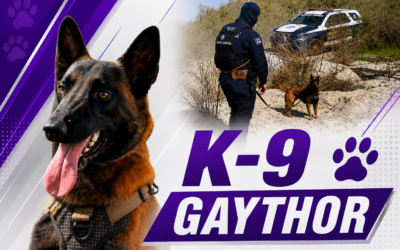 Suma Gaythor 20 hallazgos en búsquedas de personas desaparecidas en Ensenada