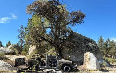 Controlan Guardaparques y SEDENA incendio; Evitan afectaciones al bosque de Sierra de Juárez
