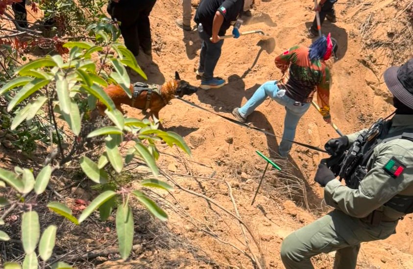 Localizan restos humanos 
