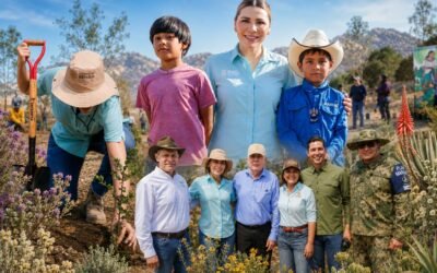 Inició Jornada de Reforestación en BC; Plantarán 35 mil plantas nativas junto con Kumiais