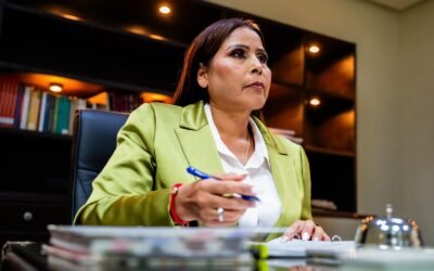 Facilita gobierno de Claudia Agatón apertura y regularización de 367 negocios
