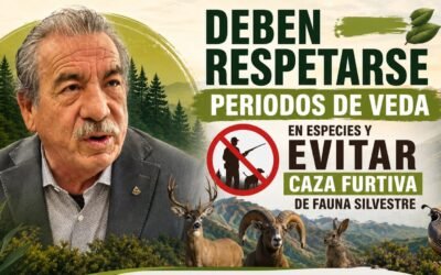 Respetar vedas, clave para evitar el colapso de ecosistema en Baja California: CIGAMX