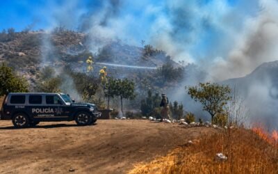 Evitan Policías y Bomberos daños graves por incendio en Parque Estatal Arroyo San Miguel