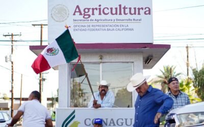 Mantienen agricultores del Valle de Mexicali plantón en SADER; Esperan acuerdos