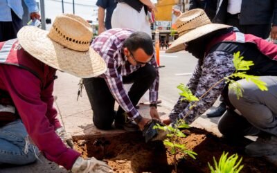 En marcha primer corredor de infraestructura verde en Zona Centro de Ensenada