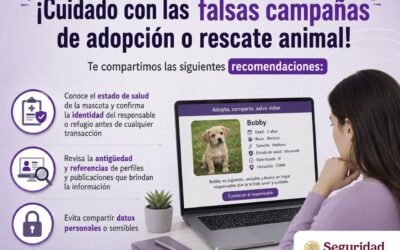 Advierte Secretaría de Seguridad fraudes en falsas campañas de adopción o rescate animal