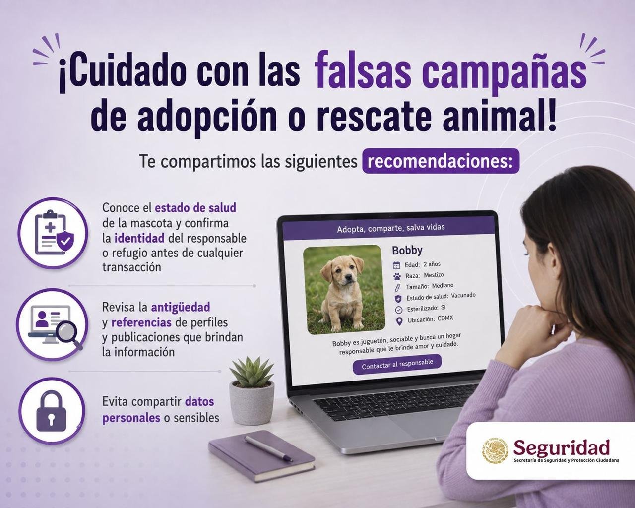 Fraudes campañas adopción y rescate animal