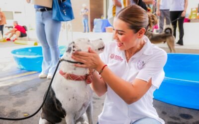Promueven adopción responsable de perros y gatos rescatados en Baja California